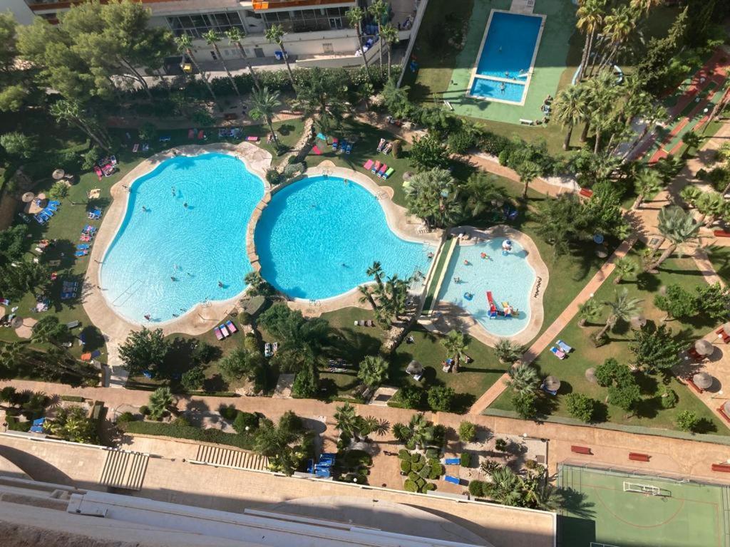 Rascacielo Bonito Mirando Al Mar Apartamento Benidorm Exterior foto